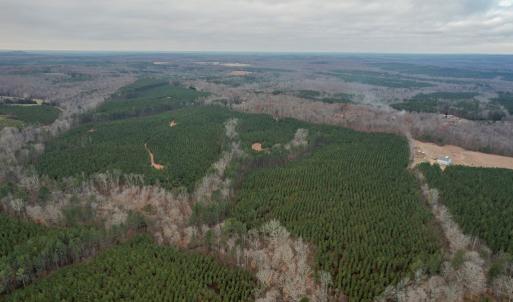 Photo #8 of Perkins Mill Rd, Dillwyn, VA 164.0 acres