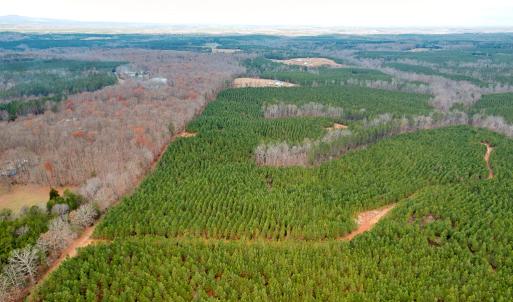 Photo #18 of Perkins Mill Rd, Dillwyn, VA 164.0 acres
