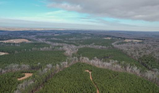 Photo #17 of Perkins Mill Rd, Dillwyn, VA 164.0 acres