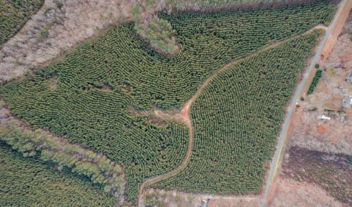 Photo #2 of Perkins Mill Rd, Dillwyn, VA 164.0 acres