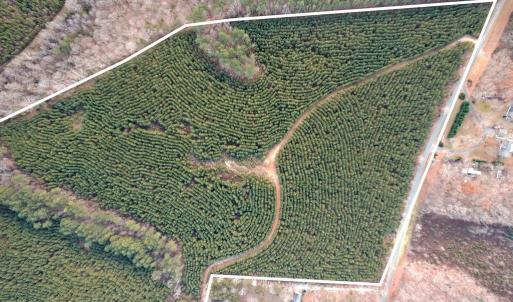 Photo #22 of Perkins Mill Rd, Dillwyn, VA 164.0 acres