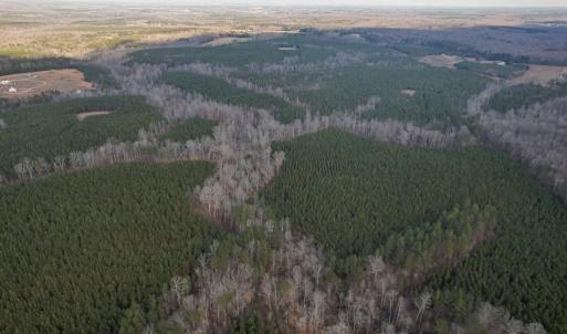 Photo #25 of Perkins Mill Rd, Dillwyn, VA 164.0 acres