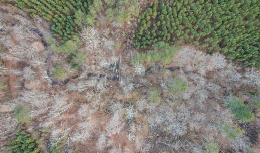 Photo #26 of Perkins Mill Rd, Dillwyn, VA 164.0 acres