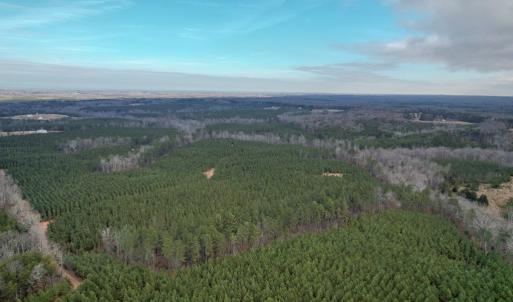 Photo #28 of Perkins Mill Rd, Dillwyn, VA 164.0 acres