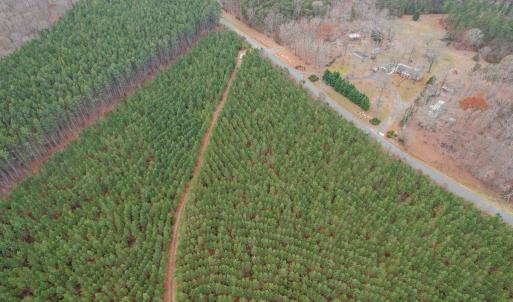 Photo #29 of Perkins Mill Rd, Dillwyn, VA 164.0 acres