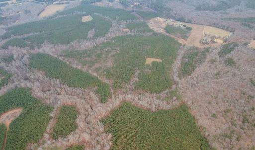 Photo #31 of Perkins Mill Rd, Dillwyn, VA 164.0 acres