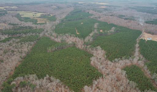 Photo #34 of Perkins Mill Rd, Dillwyn, VA 164.0 acres