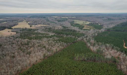 Photo #36 of Perkins Mill Rd, Dillwyn, VA 164.0 acres