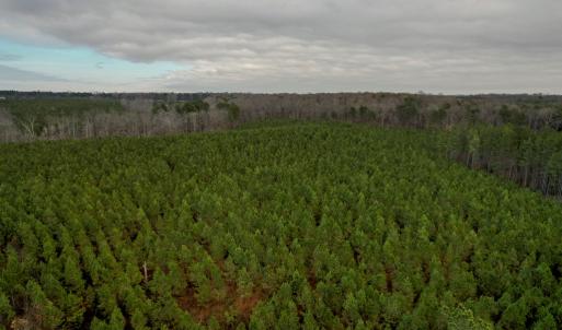 Photo #38 of Perkins Mill Rd, Dillwyn, VA 164.0 acres