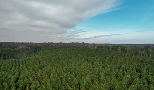 Photo #39 of Perkins Mill Rd, Dillwyn, VA 164.0 acres
