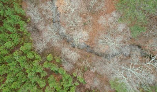 Photo #40 of Perkins Mill Rd, Dillwyn, VA 164.0 acres