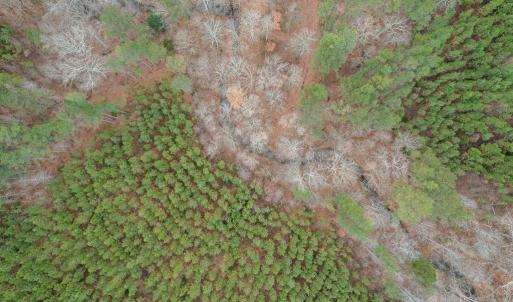 Photo #41 of Perkins Mill Rd, Dillwyn, VA 164.0 acres