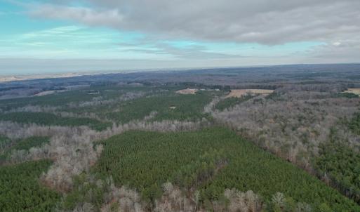 Photo #43 of Perkins Mill Rd, Dillwyn, VA 164.0 acres