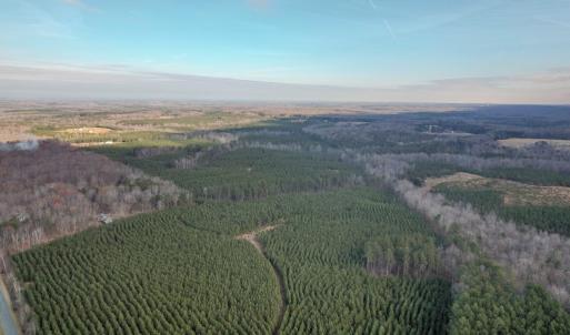Photo #45 of Perkins Mill Rd, Dillwyn, VA 164.0 acres