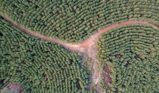 Photo #48 of Perkins Mill Rd, Dillwyn, VA 164.0 acres