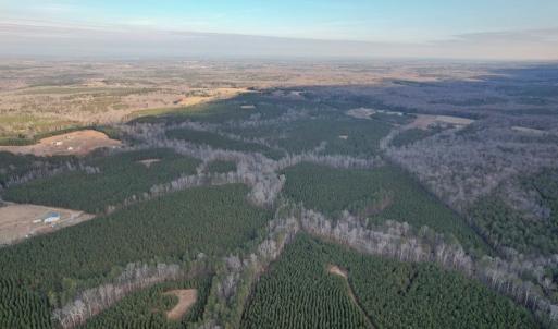 Photo #49 of Perkins Mill Rd, Dillwyn, VA 164.0 acres