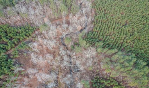 Photo #50 of Perkins Mill Rd, Dillwyn, VA 164.0 acres