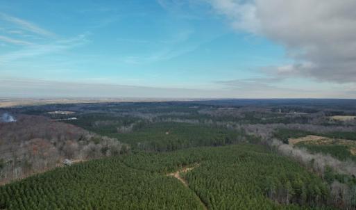 Photo #51 of Perkins Mill Rd, Dillwyn, VA 164.0 acres