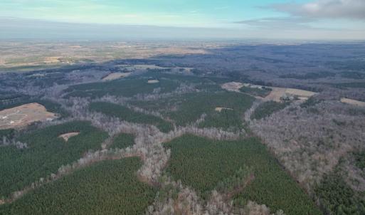 Photo #57 of Perkins Mill Rd, Dillwyn, VA 164.0 acres