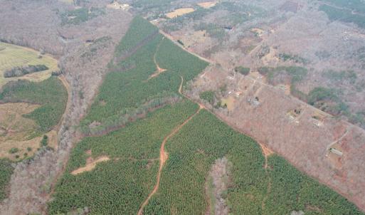 Photo #59 of Perkins Mill Rd, Dillwyn, VA 164.0 acres