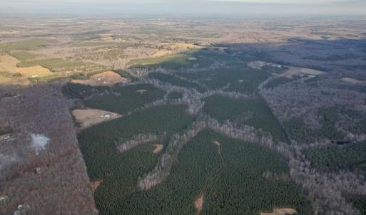 Photo #7 of Perkins Mill Rd, Dillwyn, VA 164.0 acres