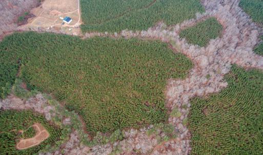 Photo #9 of Perkins Mill Rd, Dillwyn, VA 164.0 acres