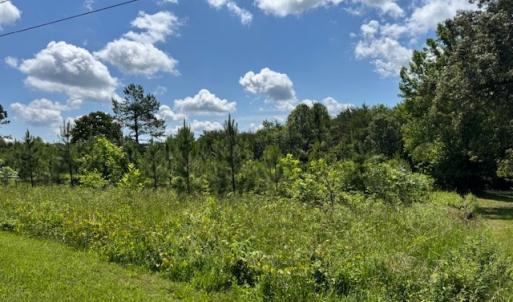 Photo #3 of Mini Ball Lane, Appomattox, VA 69.5 acres