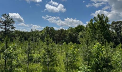 Photo #4 of Mini Ball Lane, Appomattox, VA 69.5 acres