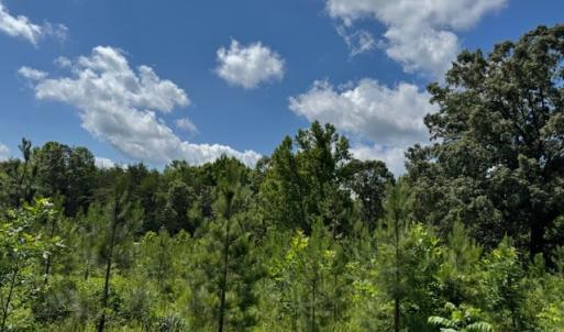 Photo #5 of Mini Ball Lane, Appomattox, VA 69.5 acres