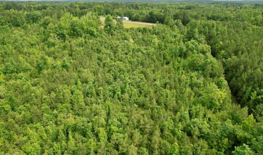 Photo #10 of 642 Grubby Rd, Wilsons, VA 14.4 acres