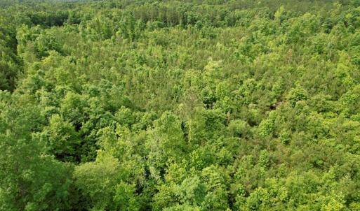 Photo #12 of 642 Grubby Rd, Wilsons, VA 14.4 acres