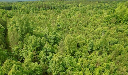 Photo #14 of 642 Grubby Rd, Wilsons, VA 14.4 acres