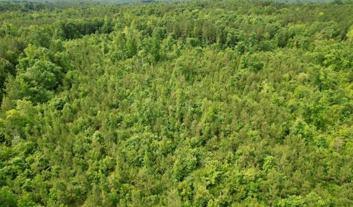 Photo #15 of 642 Grubby Rd, Wilsons, VA 14.4 acres