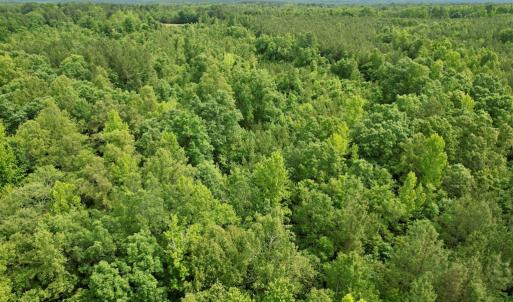 Photo #16 of 642 Grubby Rd, Wilsons, VA 14.4 acres