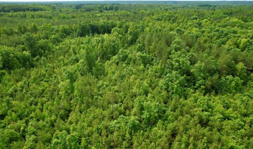 Photo #17 of 642 Grubby Rd, Wilsons, VA 14.4 acres