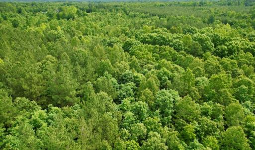 Photo #18 of 642 Grubby Rd, Wilsons, VA 14.4 acres