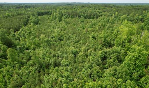 Photo #20 of 642 Grubby Rd, Wilsons, VA 14.4 acres