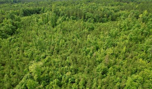 Photo #22 of 642 Grubby Rd, Wilsons, VA 14.4 acres