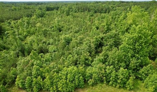 Photo #23 of 642 Grubby Rd, Wilsons, VA 14.4 acres