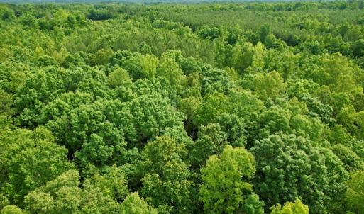 Photo #25 of 642 Grubby Rd, Wilsons, VA 14.4 acres