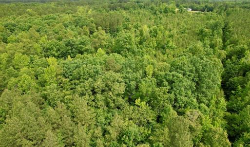 Photo #11 of 642 Grubby Rd, Wilsons, VA 14.4 acres