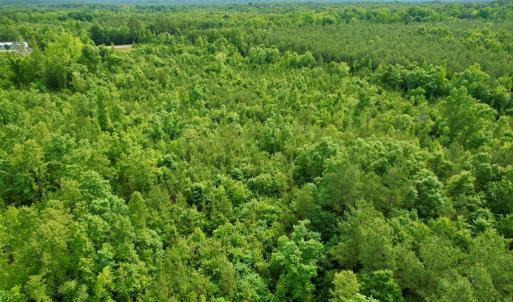 Photo #13 of 642 Grubby Rd, Wilsons, VA 14.4 acres