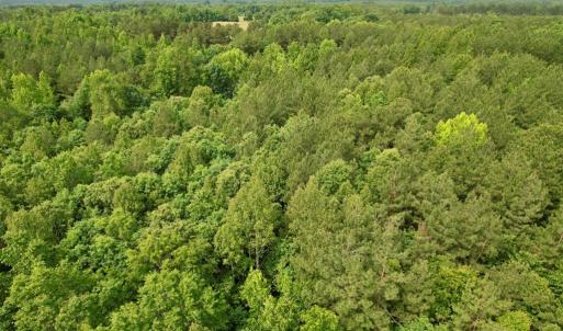Photo #24 of 642 Grubby Rd, Wilsons, VA 14.4 acres