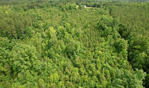 Photo #26 of 642 Grubby Rd, Wilsons, VA 14.4 acres