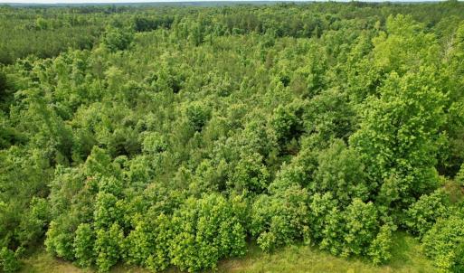 Photo #21 of 642 Grubby Rd, Wilsons, VA 14.4 acres