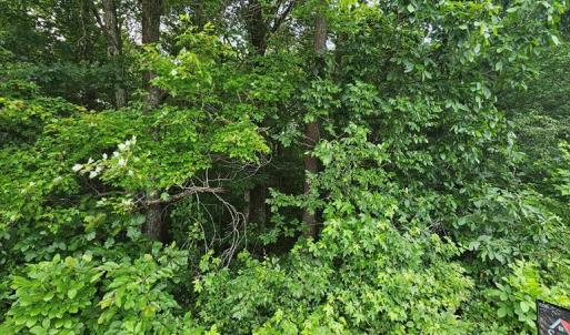 Photo #2 of Riceville Road, Riceville, VA 6.3 acres