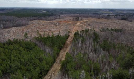 Photo #2 of Off Kennan Dr, Kenbridge, VA 46.6 acres