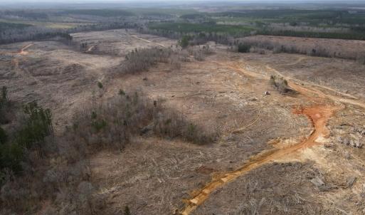 Photo #3 of Off Kennan Dr, Kenbridge, VA 46.6 acres