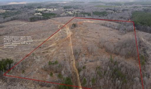 Photo #5 of Off Kennan Dr, Kenbridge, VA 46.6 acres