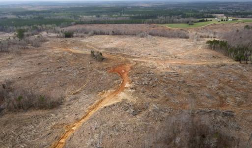 Photo #8 of Off Kennan Dr, Kenbridge, VA 46.6 acres